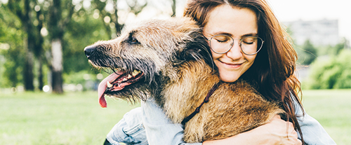 Perchè il cane si affeziona al padrone?
