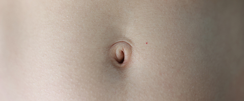 Perchè l'essere umano ha l'ombelico?