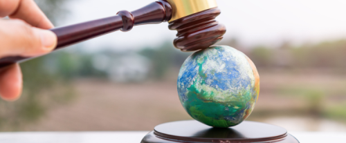 Perché è sempre più importante il diritto ambientale?