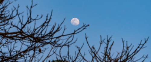 Perché si vede la Luna di giorno?