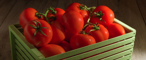 Perché il pomodoro è un frutto?