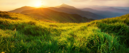 Perché è importante rispettare l'ambiente?