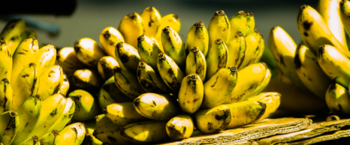 Perché le banane diventano più dolci quando maturano?