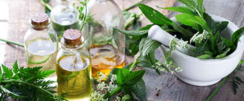Perchè scegliere gli estratti idroalcolici?