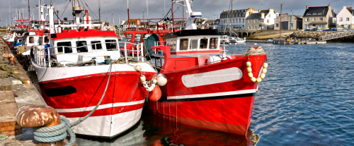 Perché lo scafo delle navi è dipinto di rosso sotto la soglia di galleggiamento?
