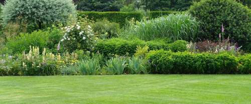 Perché è importante utilizzare fertilizzanti naturali invece di prodotti chimici nel giardino?