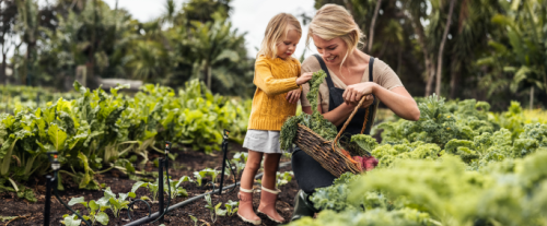 Perché hai scelto di utilizzare il metodo biologico nel tuo giardino?