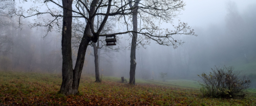 Perchè si forma la nebbia?