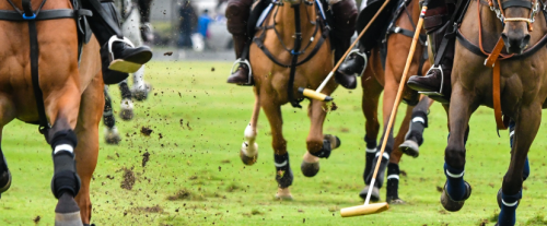 Perché il polo viene spesso associato a una cultura elitaria?