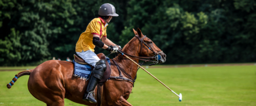 Perché il polo è spesso chiamato "il gioco dei re"?
