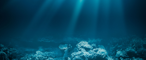 Perché alcuni oceani sono più profondi di altri?