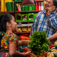 Perché l'America Latina è culturalmente diversificata?