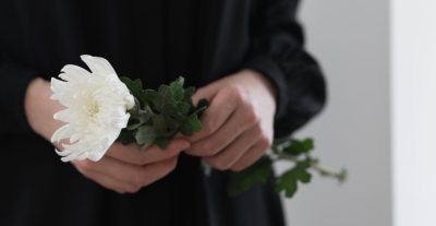 Perché il crisantemo è il fiore dei morti?