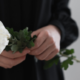 Perché il crisantemo è il fiore dei morti?