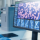 Perché la diversità genetica è importante?