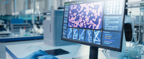 Perché la diversità genetica è importante?