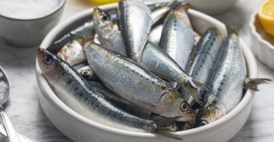 Perché si chiamano sardine?