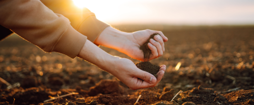 Perché il suolo è fertile?