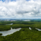 Perché l'Amazzonia è considerata il "polmone verde"?