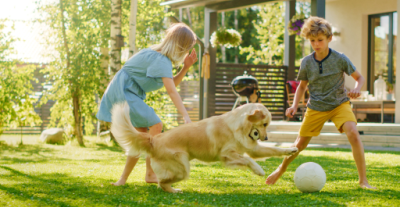 Perché i cani amano giocare con la palla?