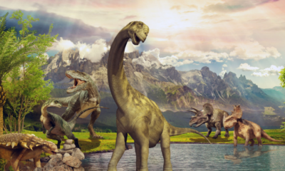 Perché i dinosauri si sono estinti?