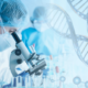 Perché l'ingegneria genetica solleva questioni etiche e morali?