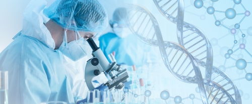 Perché l'ingegneria genetica solleva questioni etiche e morali?