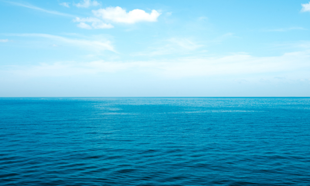 Perché gli oceani sono spesso chiamati "il polmone del pianeta"?