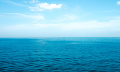 Perché gli oceani sono spesso chiamati "il polmone del pianeta"?