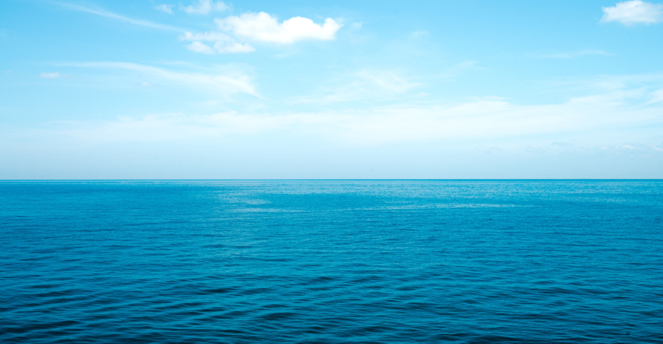Perché gli oceani sono spesso chiamati "il polmone del pianeta"?