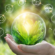Perché la sostenibilità guida innovazioni?