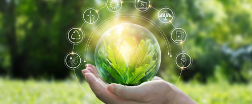 Perché la sostenibilità guida innovazioni?