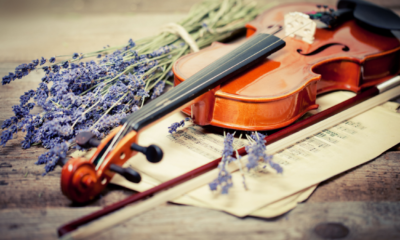 Perché gli artisti esprimono i propri sentimenti con la musica?