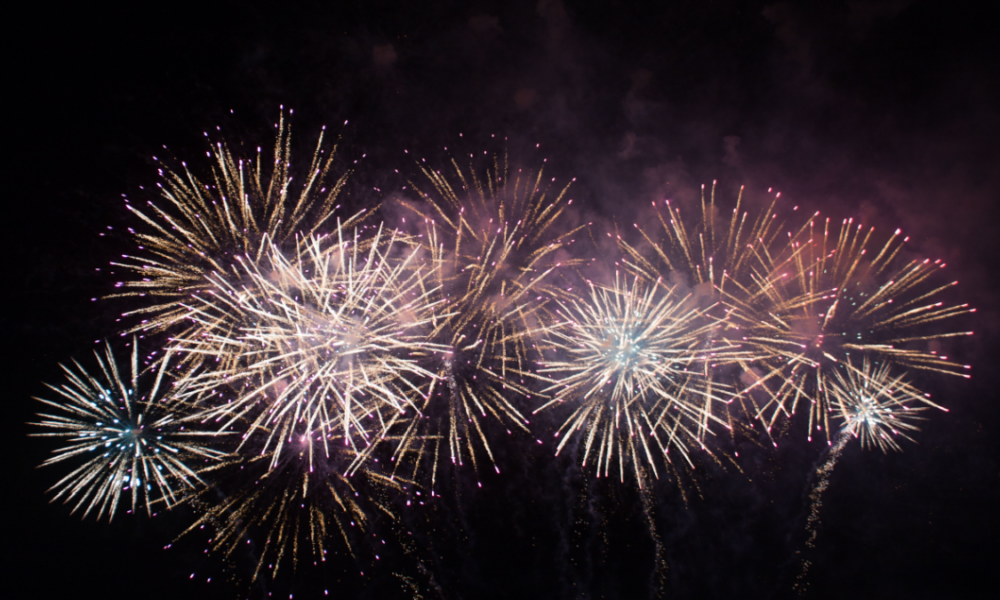 Perché i cani hanno paura dei fuochi d'artificio?