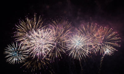 Perché i cani hanno paura dei fuochi d'artificio?