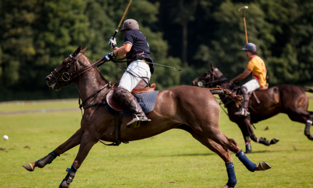 Perché il campo da polo ha una forma rettangolare?