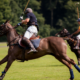 Perché il campo da polo ha una forma rettangolare?