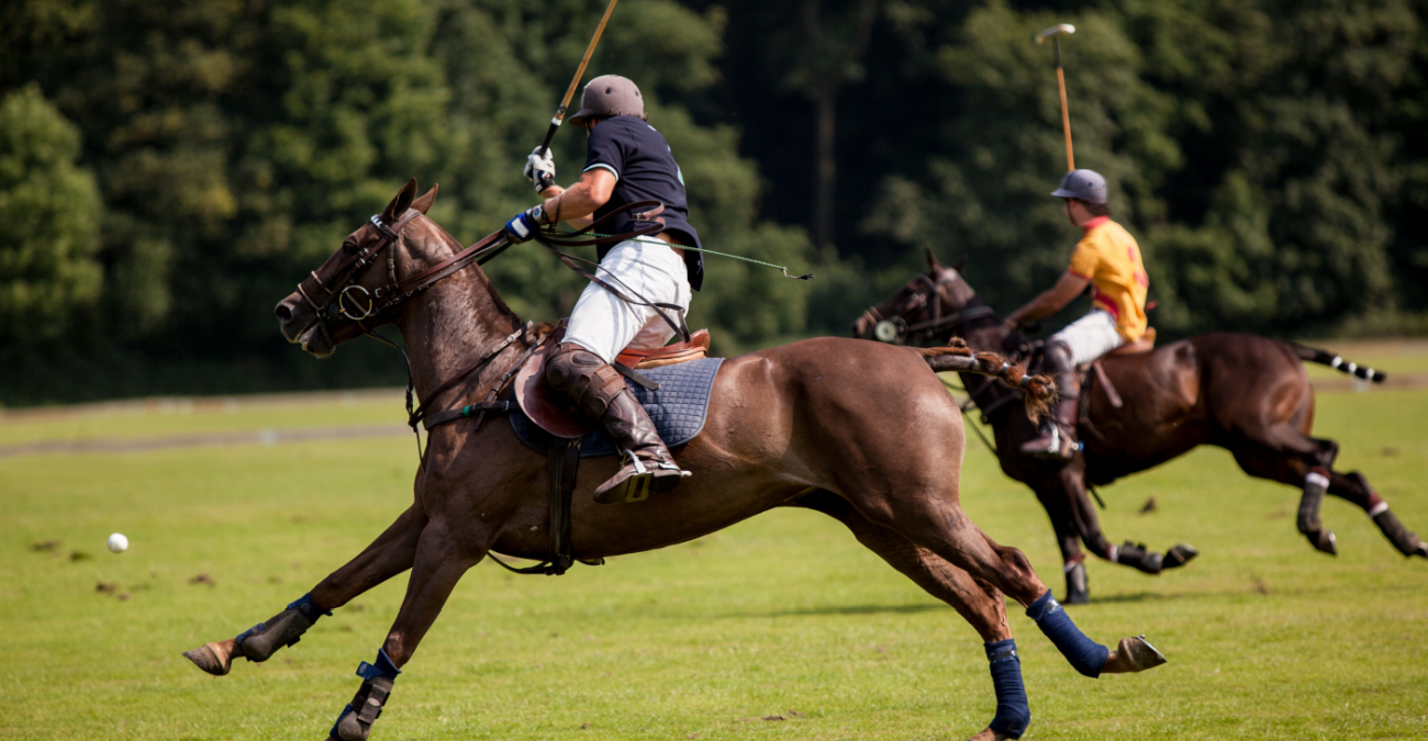 Perché il campo da polo ha una forma rettangolare?