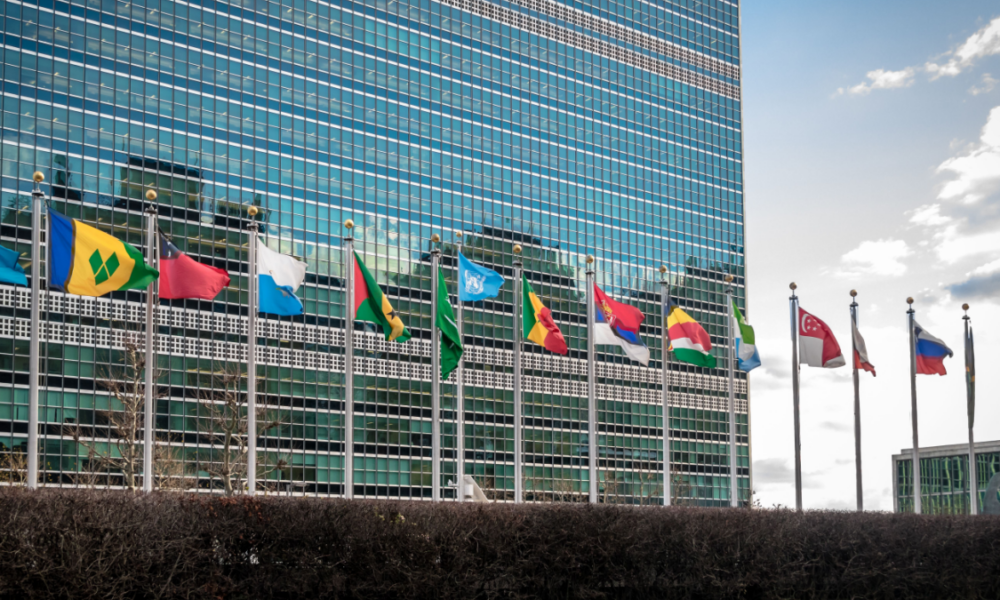 Perché il Consiglio di Sicurezza dell'ONU ha il potere di adottare sanzioni?