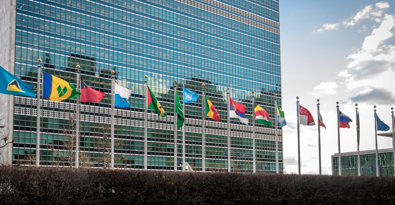 Perché il Consiglio di Sicurezza dell'ONU ha il potere di adottare sanzioni?