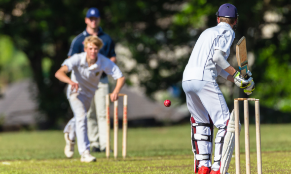 Perché giocare a cricket?