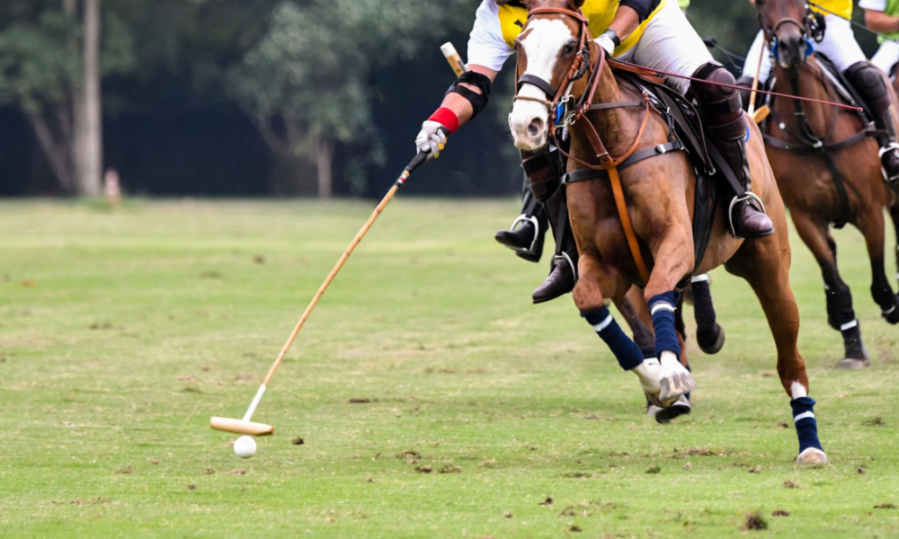 Perché il polo è diffuso in molte parti del mondo?