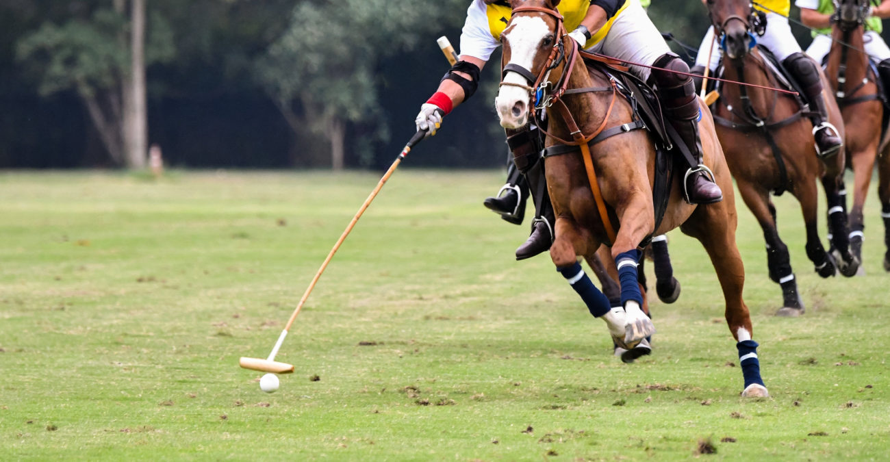 Perché il polo è diffuso in molte parti del mondo?