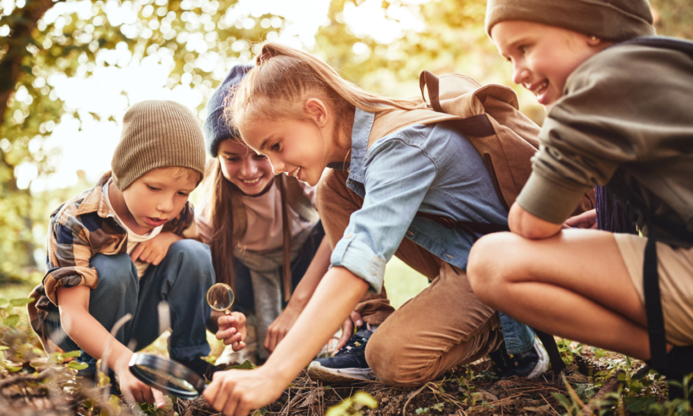 Perché i viaggi sono educativi?