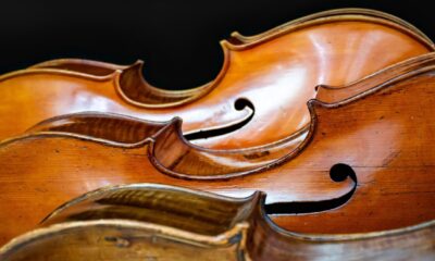 Perché apprezzare la melodia degli strumenti ad arco?