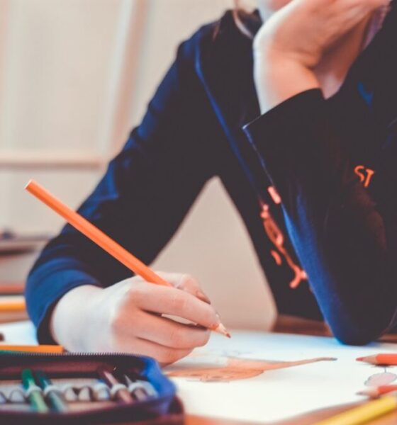 Perché le scuole elementari hanno una durata di 5 anni?