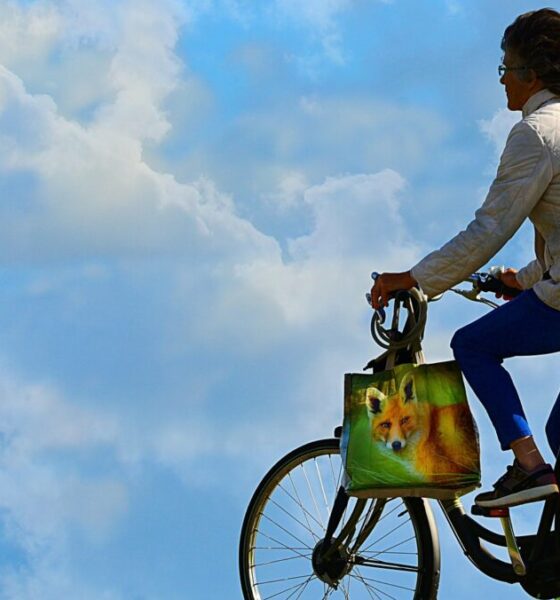 Perché il cambio della bicicletta mi aiuta a pedalare in salita?