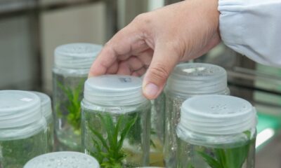 Perché la biotecnologia è innovativa?