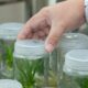 Perché la biotecnologia è innovativa?