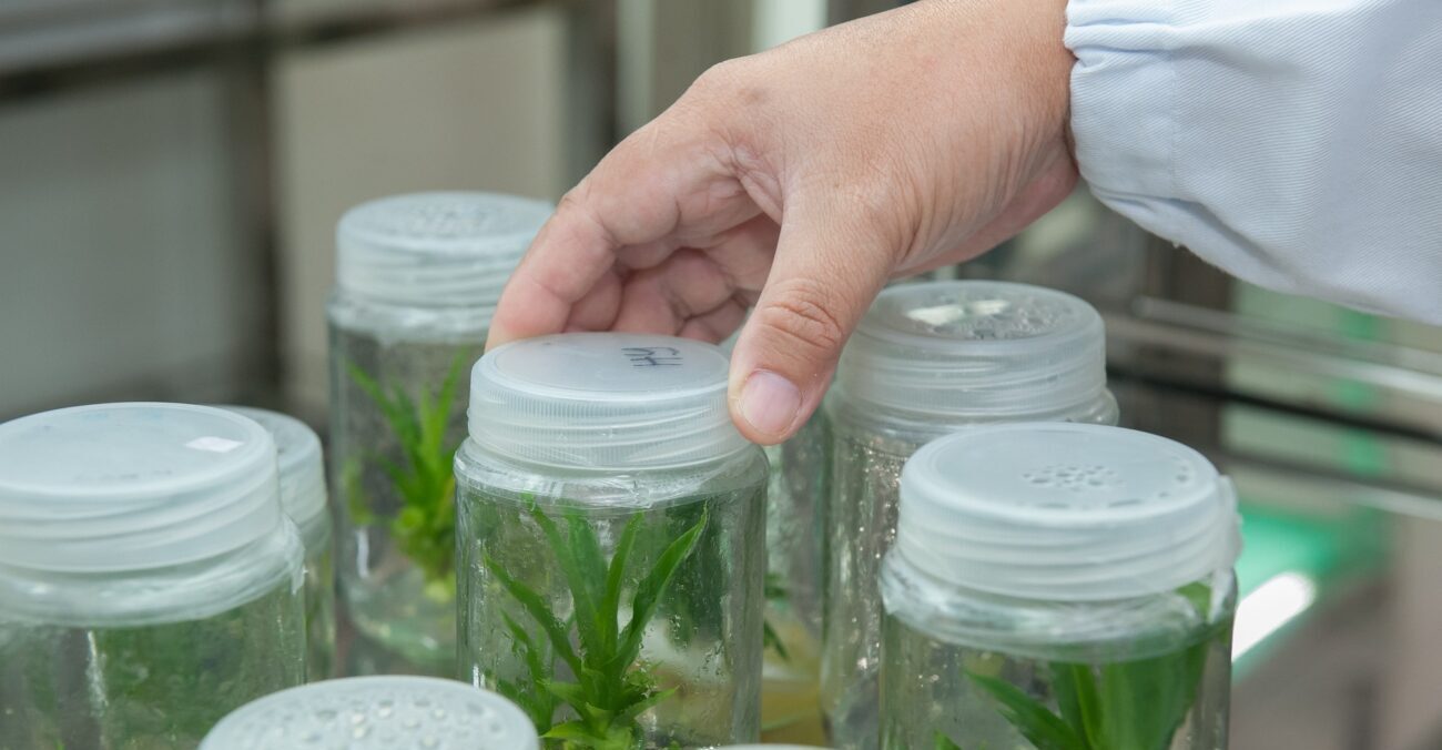 Perché la biotecnologia è innovativa?